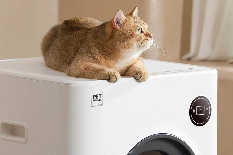 the best cat litter boxes