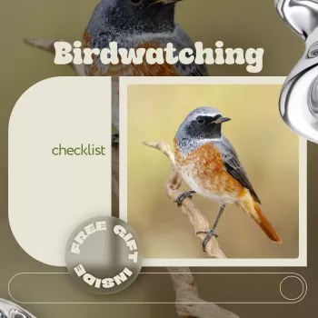 Beginner Birdwatching Checklist: Gear, Tips & Printable